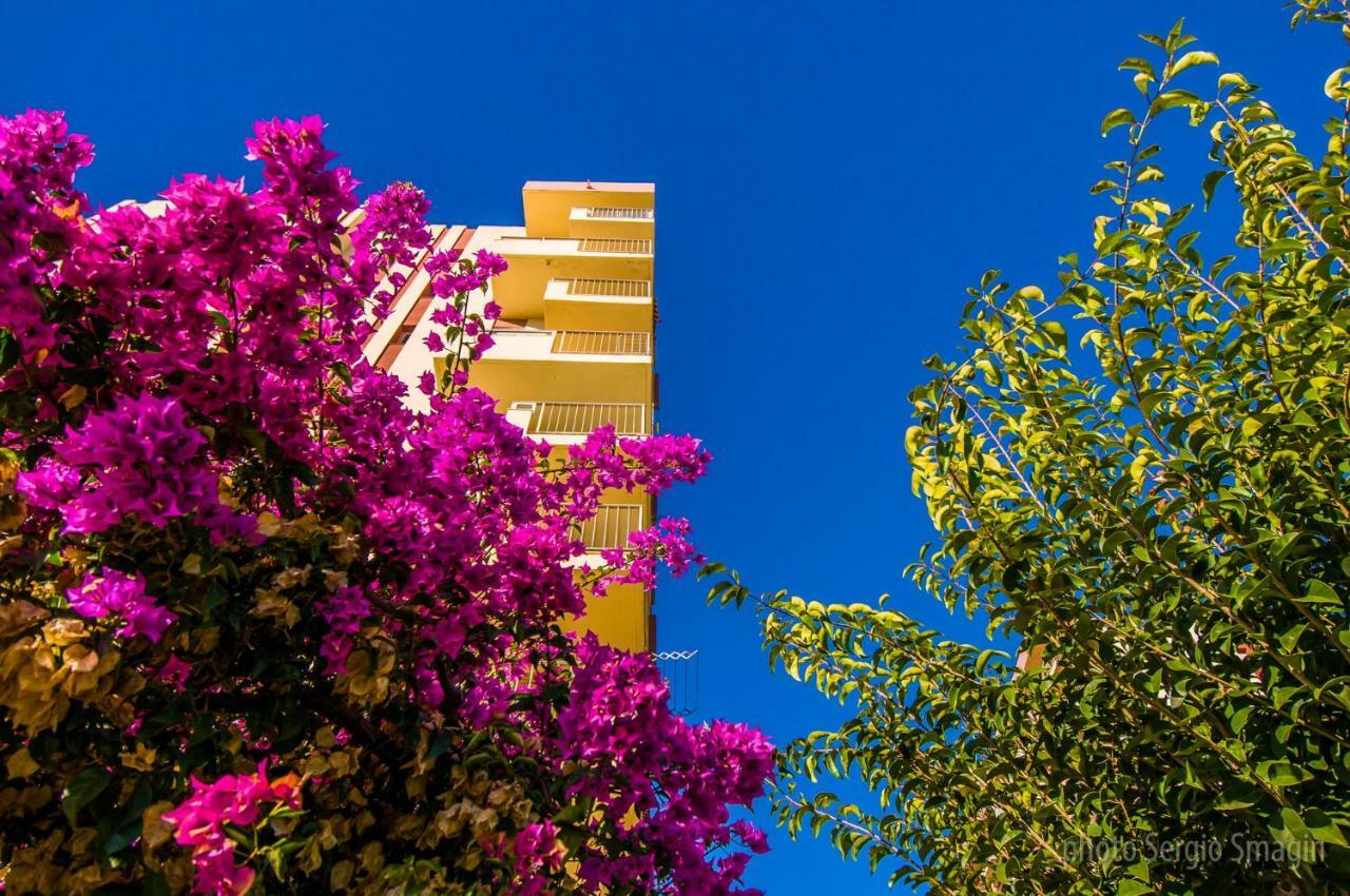 Jupiter Minerva - Piscina Abierta - Excelente Conexion Wifi Appartement Benalmádena